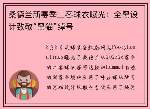 桑德兰新赛季二客球衣曝光：全黑设计致敬“黑猫”绰号